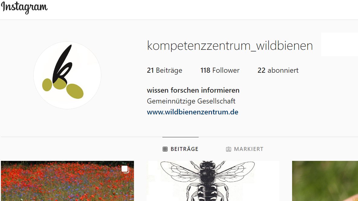 Read more about the article Das Kompetenzzentrum Wildbienen auf Instagram